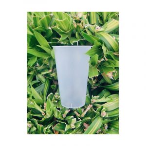 HUIPENG Packaging - Vn Cup 90 500 Flat Frosted