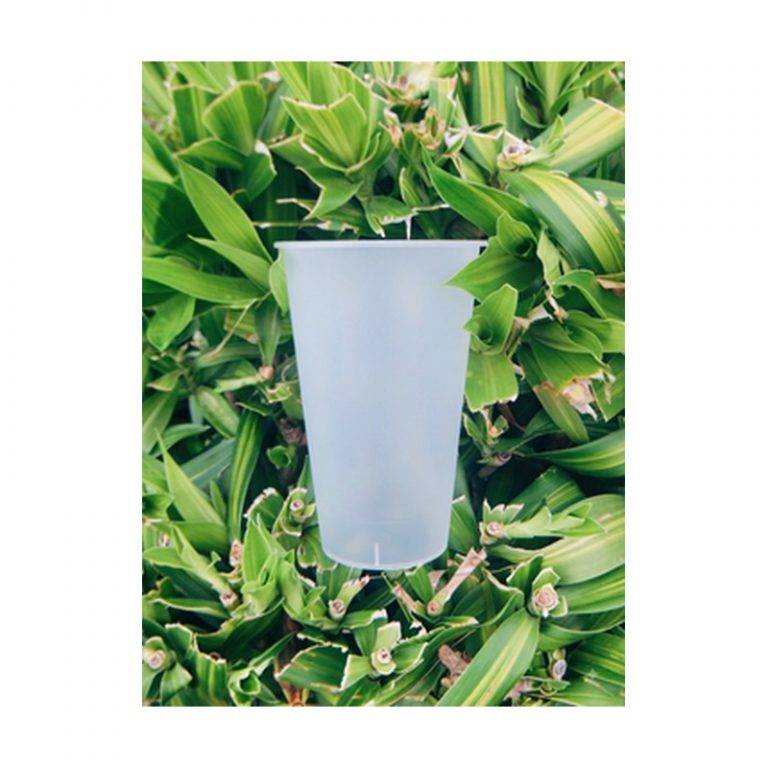 PP Injection Cups & Lids